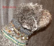 Bernstein-Hundehalskette, Hundehalsband, Paracordhundehalsband, Leine, Paracordhundeleine, Hundeleine